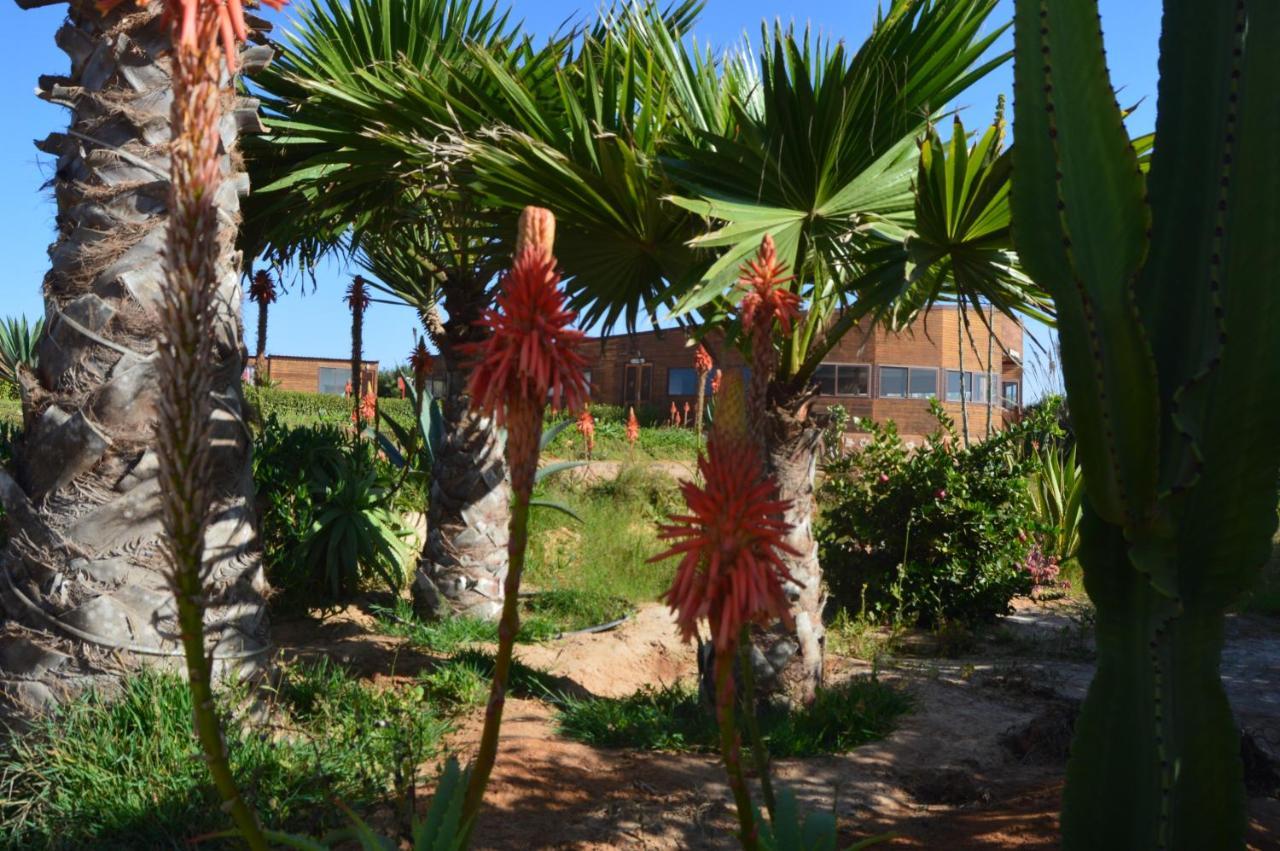 Dakhla Kitesurf World Hotell Exteriör bild