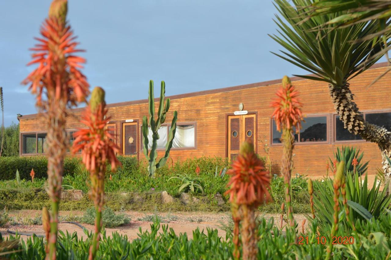 Dakhla Kitesurf World Hotell Exteriör bild