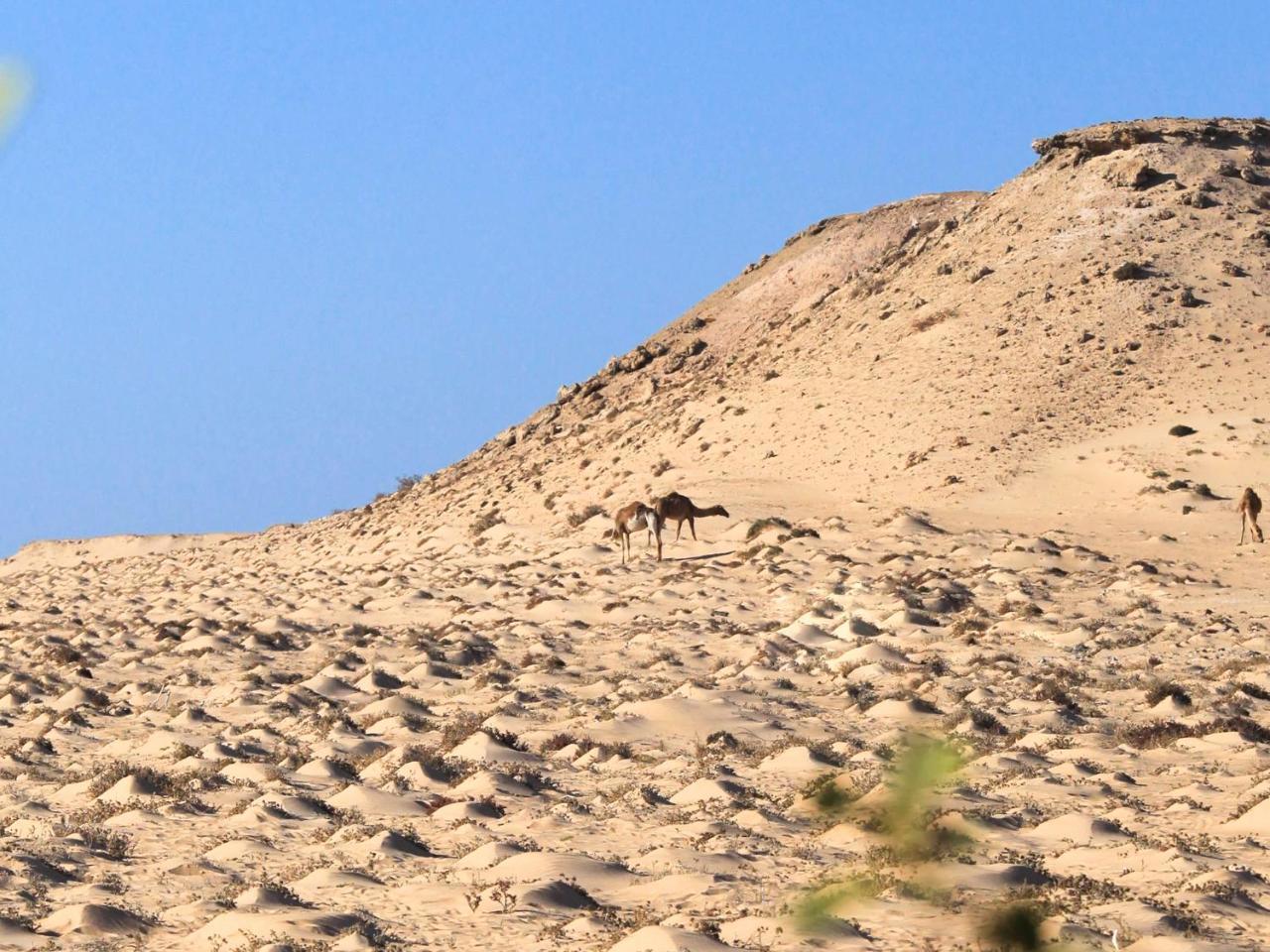 Dakhla Kitesurf World Hotell Exteriör bild